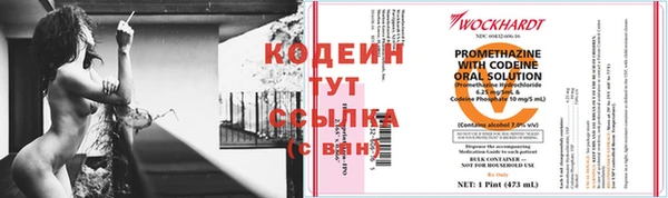 сатива Баксан