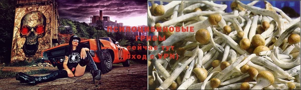 амф Балабаново