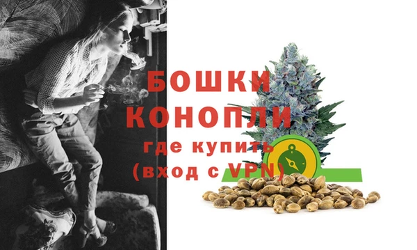 сатива Баксан